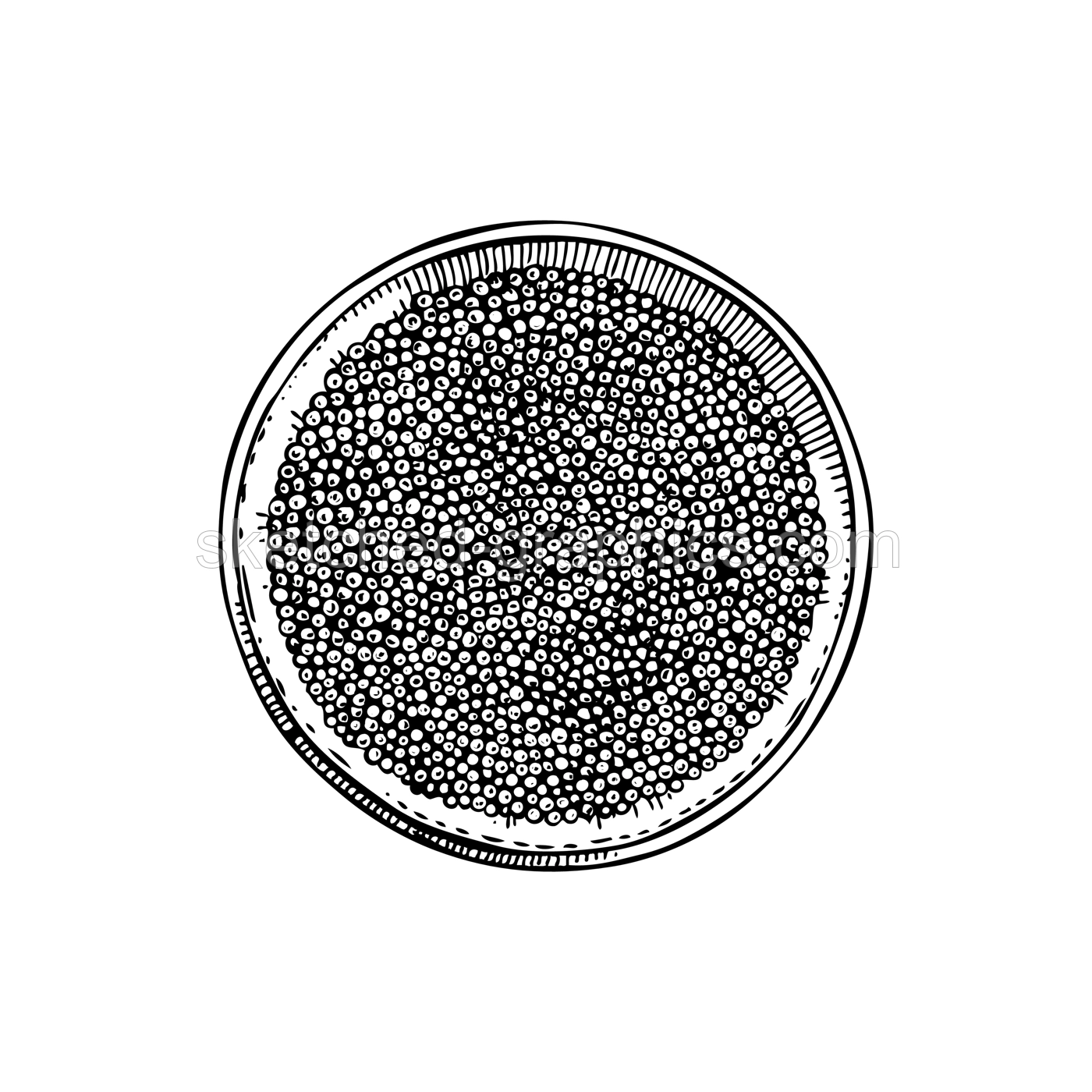 Hand-drawn sketch of canned caviar isolated on a white background. Black caviar in opened tin can vector drawing in engraved style. Seafood delicacy illustration for restaurant or finger food menu Illustration